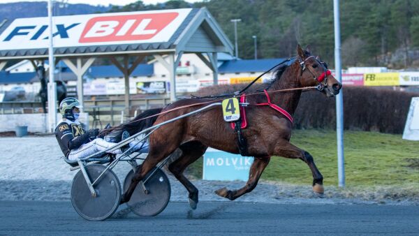 Sprettlett for hedershesten