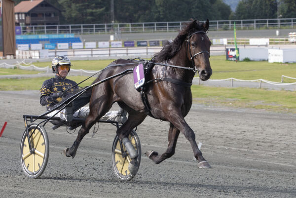 Klink vinner fra Larvik