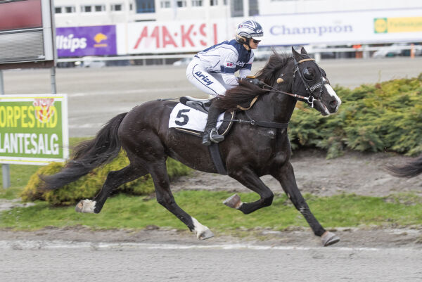 Spennende banker i sin livs form