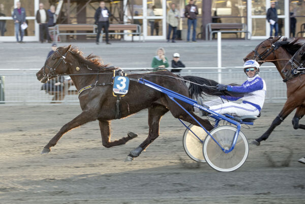 Banker til fin odds