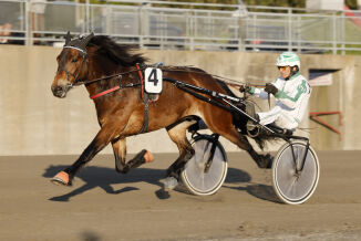 Banker i sitt livs form