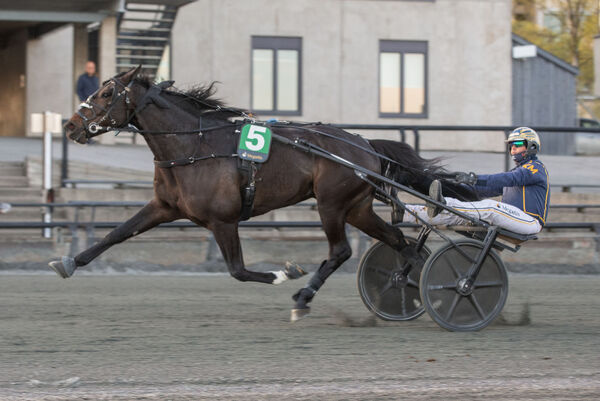 Vinner normalt i dette selskapet