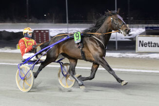 Toppform i lite felt