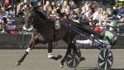 OGP-deltaker skadet