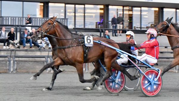 Prognosene er gode