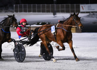 Banker neppe mange bruker