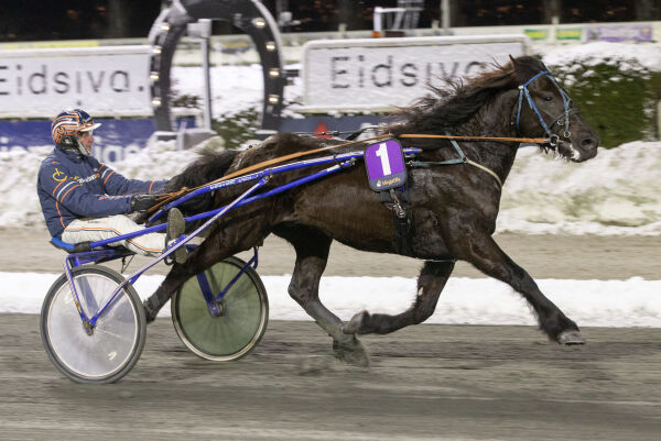Toppform i kroppen