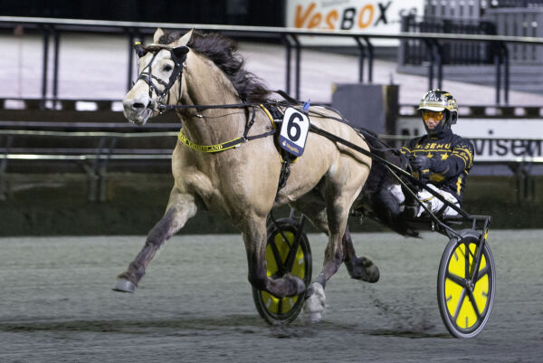 Tangen Bork tross dårlig spor