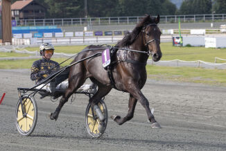 Klink vinner fra Larvik