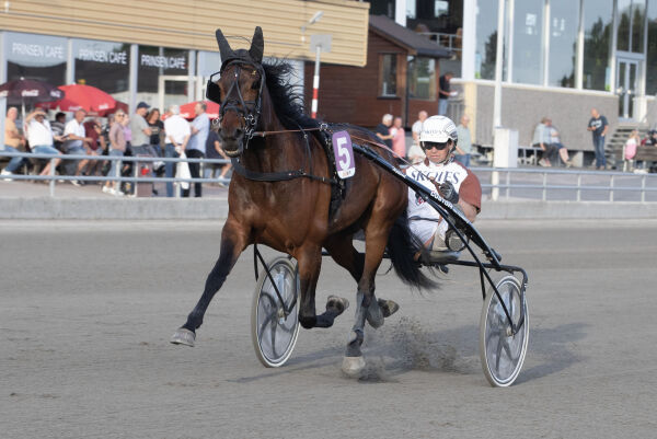 Vill banker