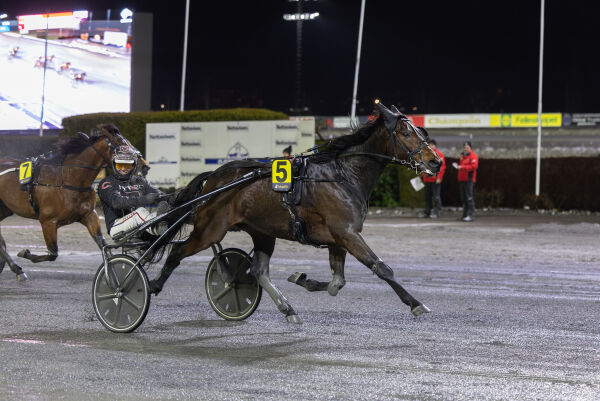 Vinner til topp odds?