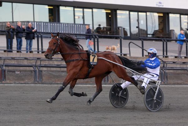Tips til Bjerkes V75