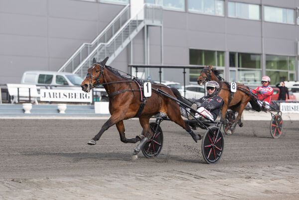 Grande Finale i finalen