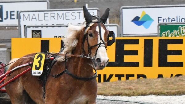 - Forsiktig optimist