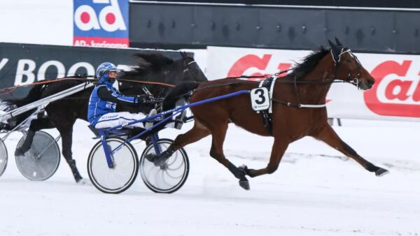 Avlyser alt i tre dager