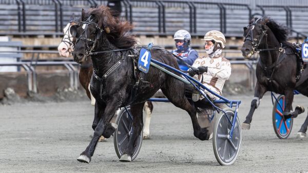 For lite betrodd og stormvarsel