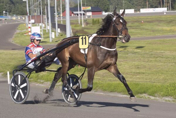 Topphoppe til Hamre