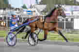 Banker i superform