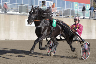 Soleklar banker til god odds