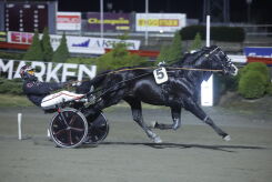 Banker fra bygda