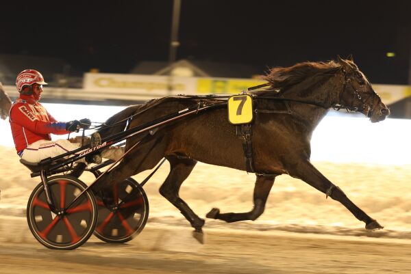 Tilbake som en vinner