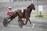 Formtoppet banker