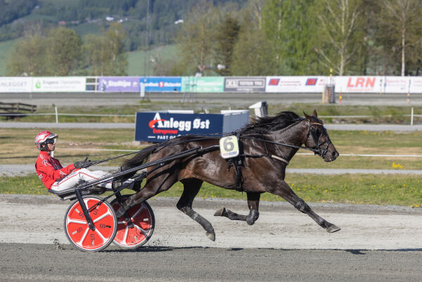 Moser dem fra dødens