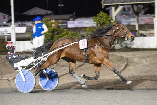 Ny lykke for Lucky?