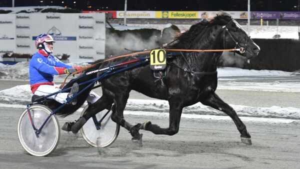 Leder hele veien rundt