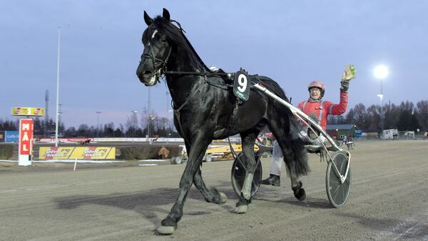 Tilbake som en vinner