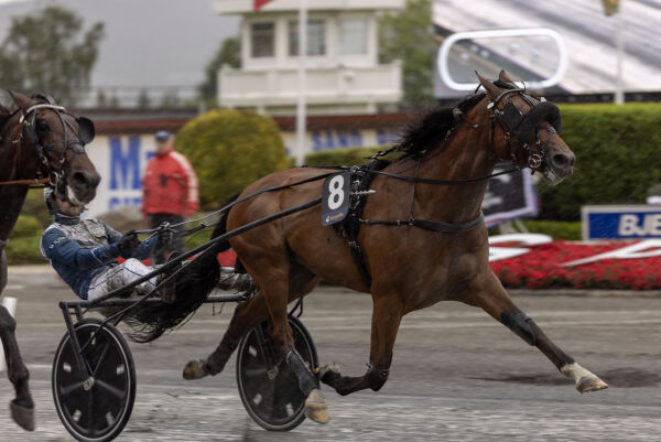 Tilbake som en vinner
