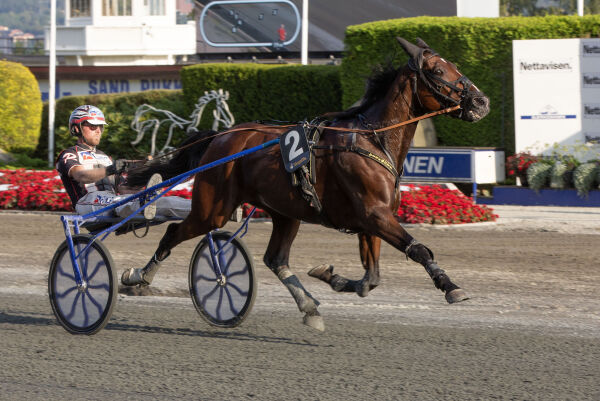 Solid stallform og perfekt spor