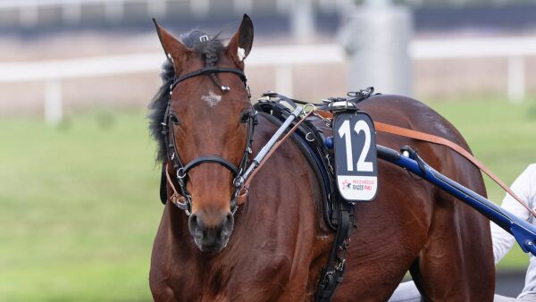 Elitloppsfavoritten på sykelista