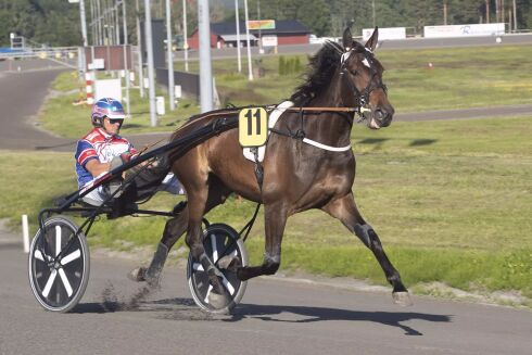 Topphoppe til Hamre