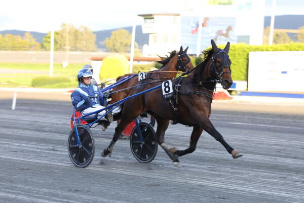 Vinner fra tet