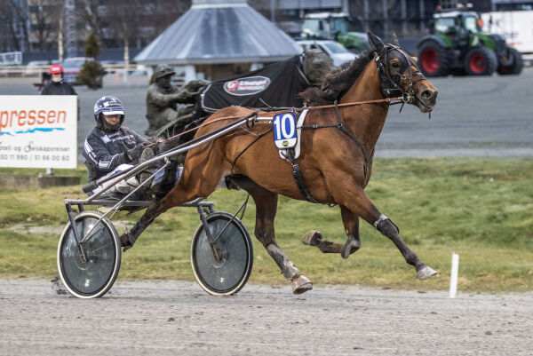 Vinnerhest til dyst