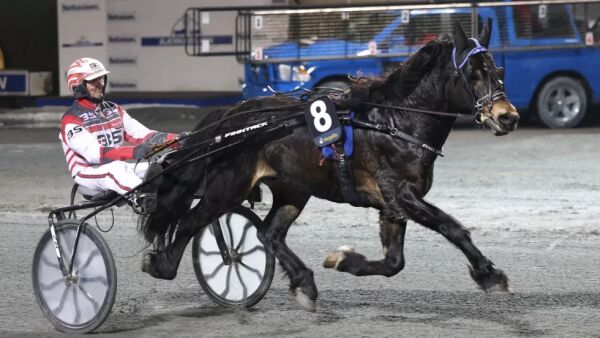 Vinnerhest til Antonsen