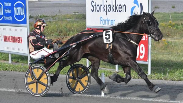 Vinnerhest ut av tiden