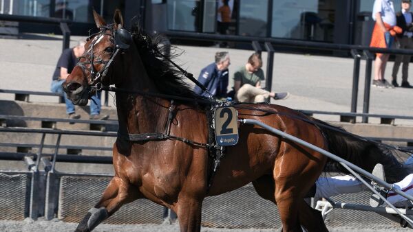 Vinner fra både tet og rygg leder