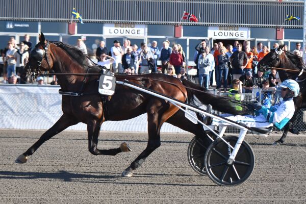 Derfor må den droppe Prix d'Amerique