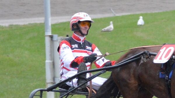 - En hest som har gjort det bra