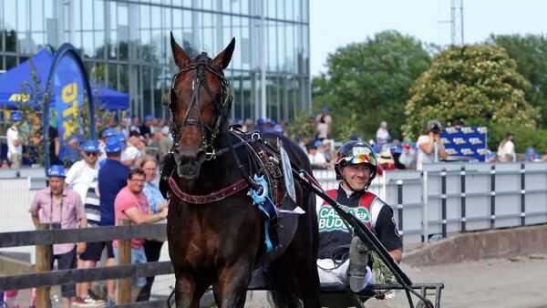 Norsk millionsalg
