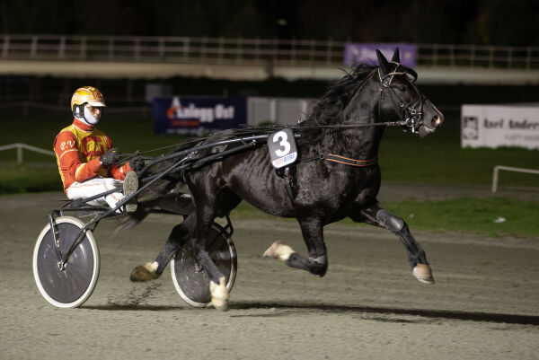 Kals med bankeren