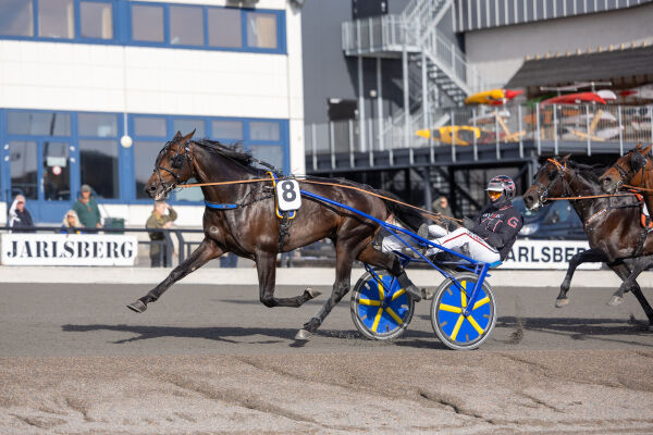 Lille julaften med Jollywood