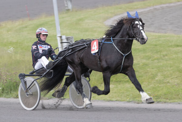 Vågal banker i omgangen