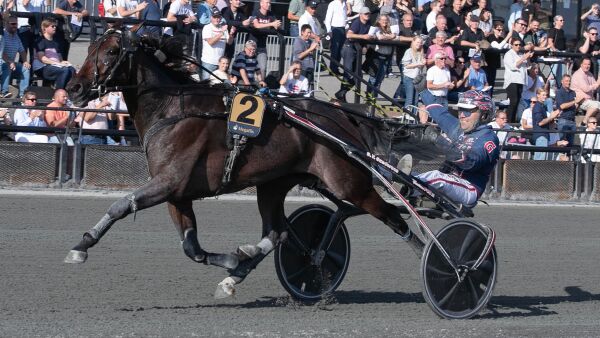 Tilbake som en vinner