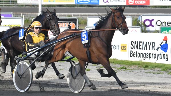 Krystallklar banker