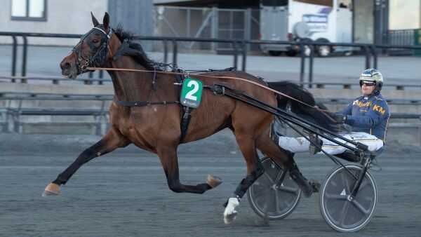 Vinner alle dager i uken