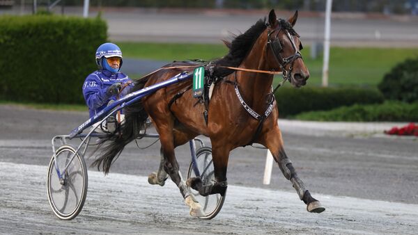 Normalt to overlegne banker