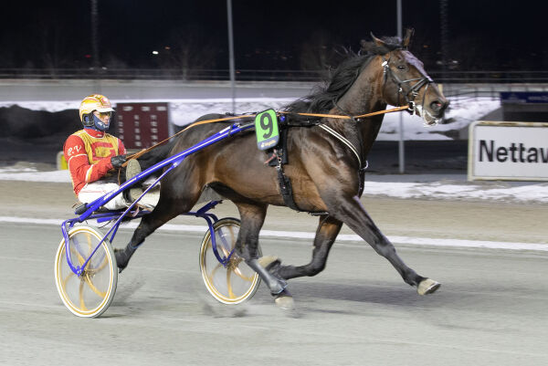 Toppform i lite felt